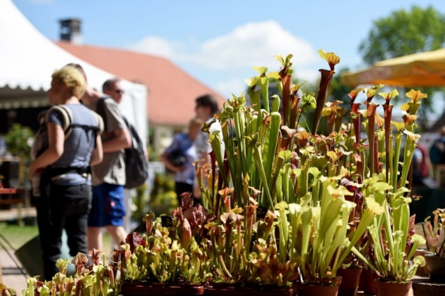 Eichenzell Gartenfest 2017