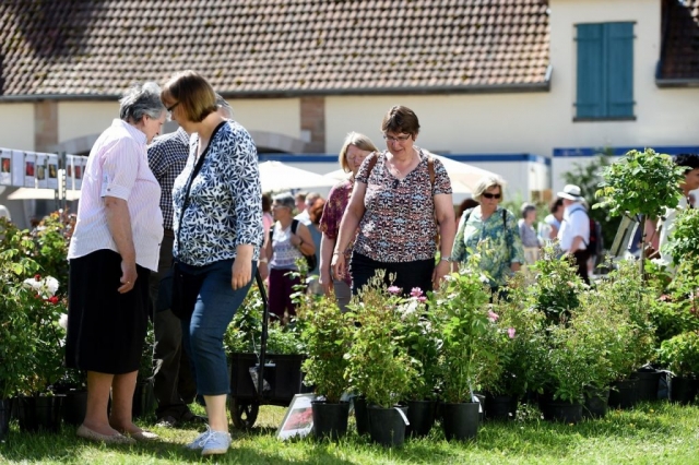 Eichenzell Gartenfest 2017