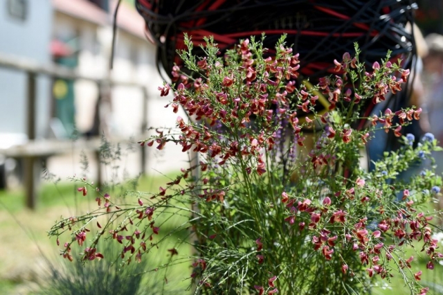 Eichenzell Gartenfest 2017