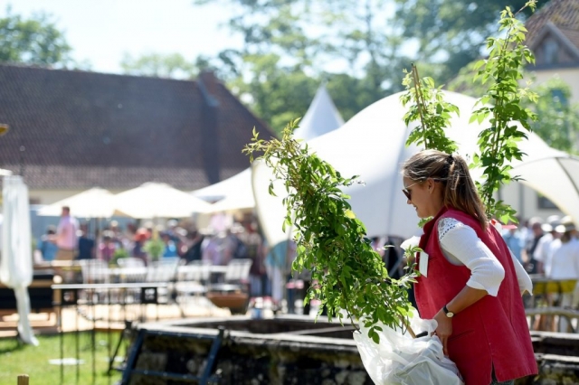 Eichenzell Gartenfest 2017