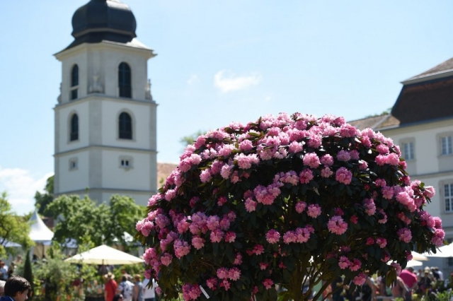 Eichenzell Gartenfest 2017