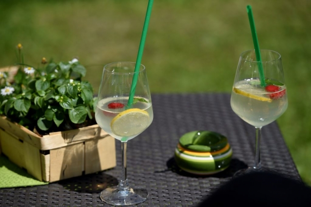 Eichenzell Gartenfest 2017