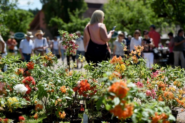 Eichenzell Gartenfest 2017