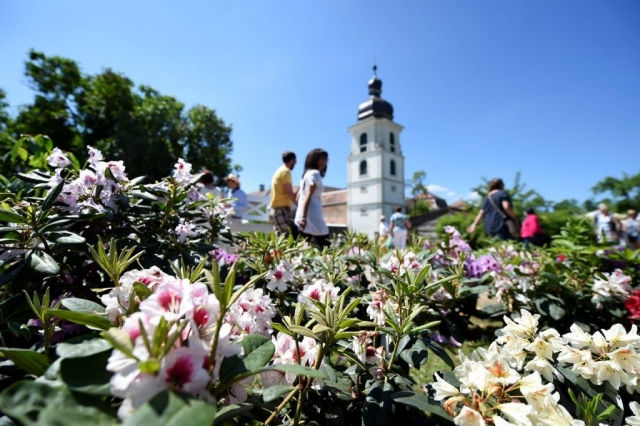 Eichenzell Gartenfest 2017