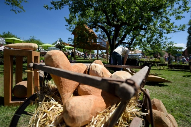 Eichenzell Gartenfest 2017