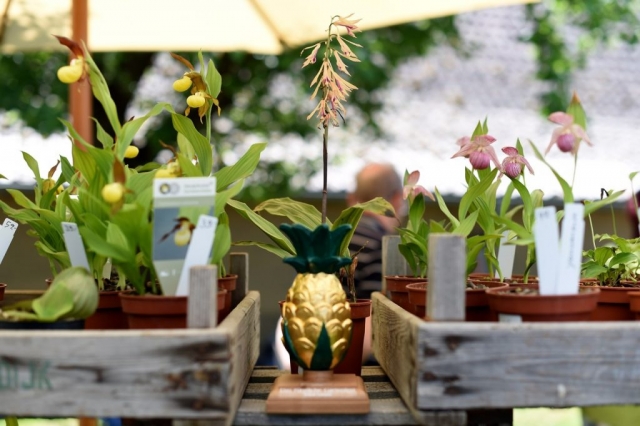 Eichenzell Gartenfest 2017