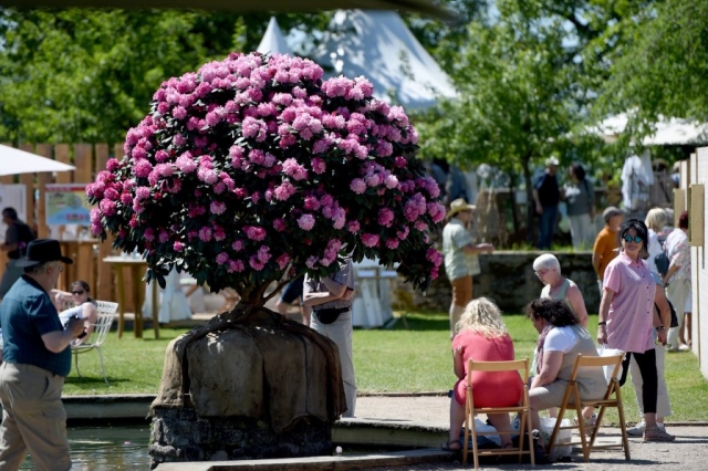 Eichenzell Gartenfest 2017