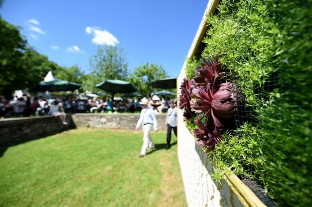 Eichenzell Gartenfest 2017