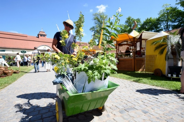Eichenzell Gartenfest 2017