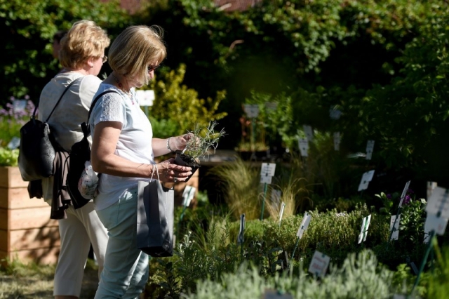 Eichenzell Gartenfest 2017